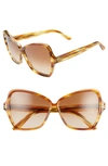 Celine 64mm Oversize Butterfly Sunglasses In Honey Flamed Havana/ Brown
