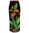 DOLCE & GABBANA Printed Slim Pencil Skirt