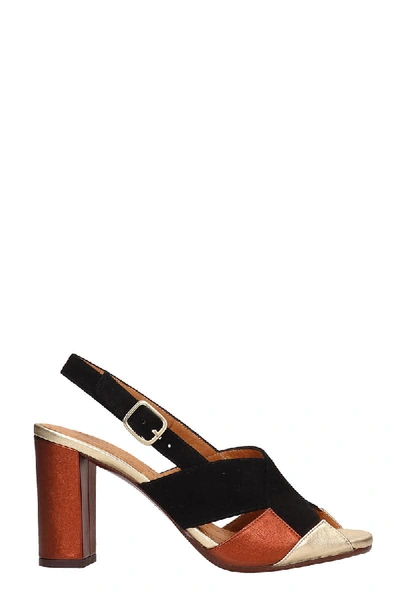 Chie Mihara Benita Sandals In Black Suede And Leather