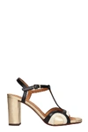 CHIE MIHARA BANELLA SANDALS IN BLACK LEATHER,11343665