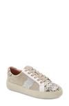 FRYE WEBSTER LOW TOP SNEAKER,71693