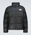 The North Face Solid Color Padded Jacket With Embroidered Logo In Black
