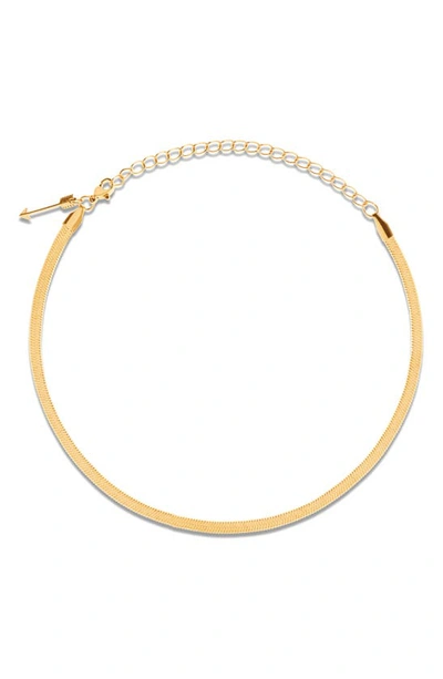 Ellie Vail Nic Snake Chain Choker Necklace In Gold
