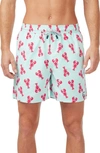 Tom & Teddy Men's Lobster-print Swim Trunks In Light Blue/ Berry