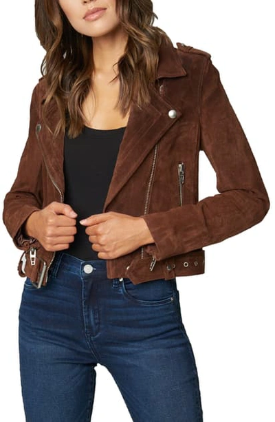 Blanknyc Morning Suede Moto Jacket In Chocolate Truffle