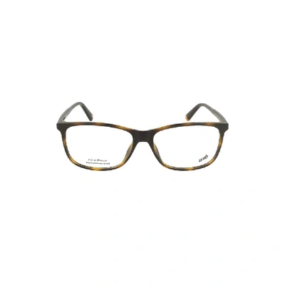 Web Eyewear Women's Brown Acetate Glasses