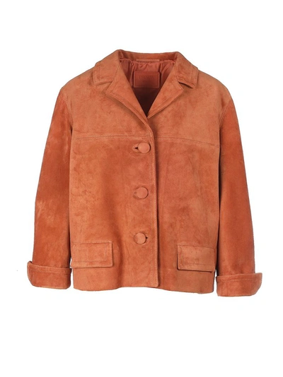 Prada Suede Leather Blazer In Brown