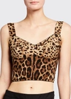Dolce & Gabbana Charmeuse Leopard Corset Top In Leopard