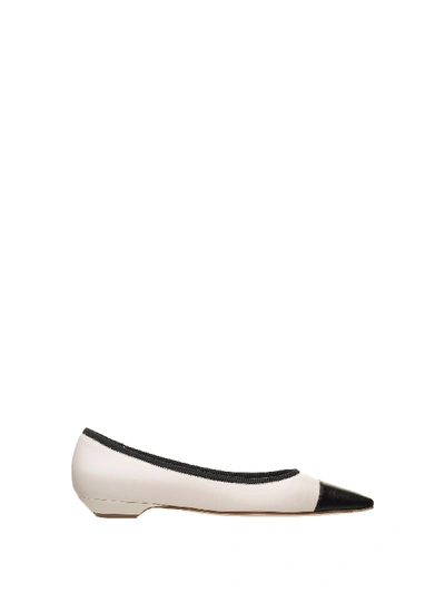 Roberto Festa White Black Ballerina Shoes In Nero/burro