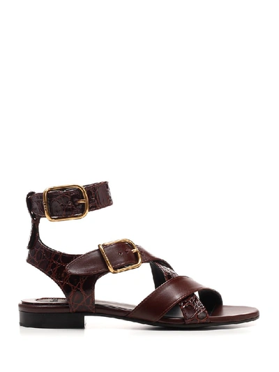 Chloé Daisy Mixed Leather Strappy Sandals In Brown