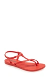 Ipanema Aphrodite Strappy Waterproof Sandal In Red/ Red