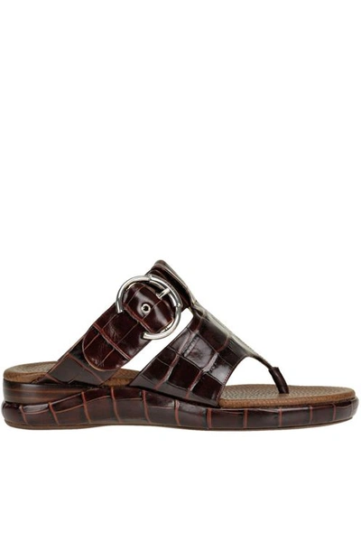 Chloé Wave Sandals In Brown