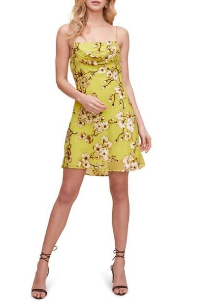 Astr Lark Floral Slipdress In Bright Yellow Floral