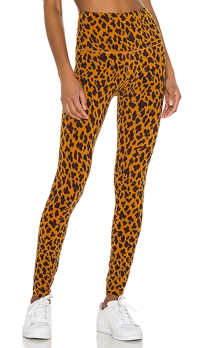 Varley Century Cheetah-print Leggings In Yellow Cheetah