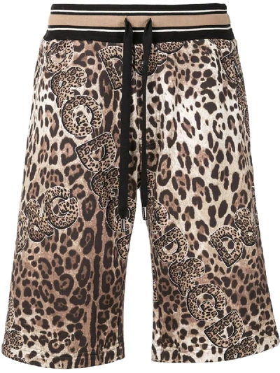 Dolce & Gabbana Leopard-print Shorts In Brown