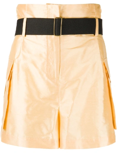 Erika Cavallini Belted Shorts In Yellow