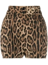 Dolce & Gabbana High Waist Leopard Stretch Drill Shorts In Brown