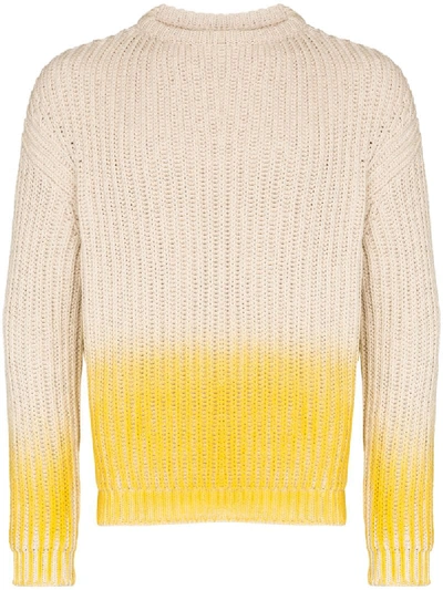 Jacquemus Le Pull Mimosa 毛衣 In Neutrals
