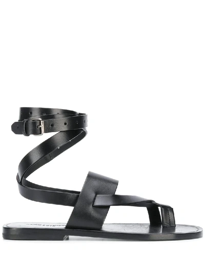 Saint Laurent Culver Buckled Sandals In Black