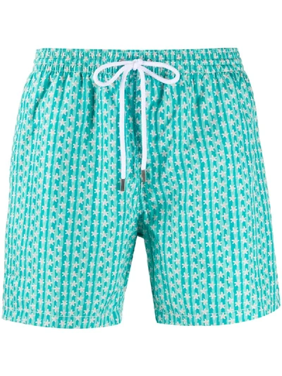 Barba Striped Star Print Swim Shorts In Green