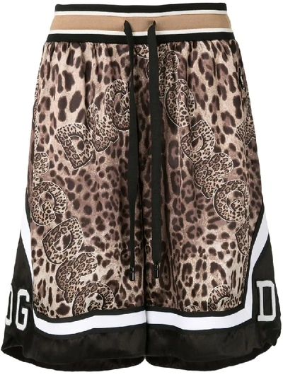 Dolce & Gabbana Leopard-print Shorts In Brown