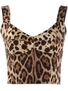 Dolce & Gabbana Leopard-print Charmeuse Bustier Top In Brown