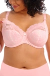 Elomi Molly Full Figure Underwire Nursing Bra In Blush