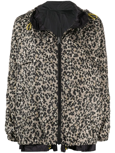 Seventy Hooded Leopard Print Jacket In Neutrals