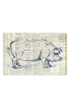 OLIVER GAL PIG FARMHOUSE CANVAS WALL ART,002180600TY2ZDT
