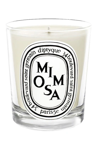 Diptyque Mimosa Scented Candle, 6.5 oz In Colorless