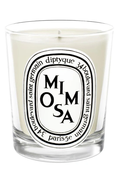 Diptyque Mimosa Scented Candle, 6.5 Oz. In Colourless