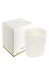DIPTYQUE 34 SCENTED CANDLE, 7 OZ,34B1