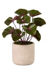 BLOOMR LIGULARIA PLANTER DECORATION,3067-90-1