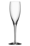 ORREFORS ORREFORS MORE SET OF 4 CHAMPAGNE FLUTES,6310101