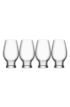 ORREFORS 'IPA BEER' GLASSES,6312007