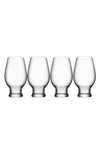 Orrefors Set Of 4 Beer Ipa Glasses In Clear