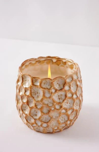 Anthropologie Home Small Honeycomb Scented Candle In Tonka And Tobacco Leaf 