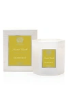 Antica Farmacista Grapefruit Hexagonal Candle, 9 Oz.