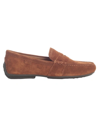 Polo Ralph Lauren Loafers Driver Suede Reynold