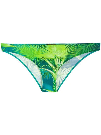 Versace High Waist Printed Lycra Bikini Bottoms In Green
