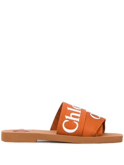 Chloé Woody Canvas Sandals In Brown