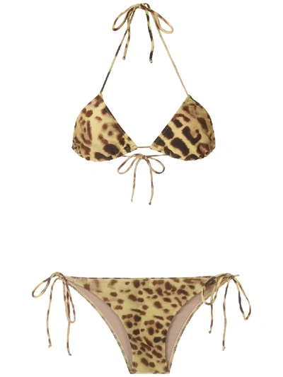 Adriana Degreas Leopard Print Triangle Bikini Set In Multicolour