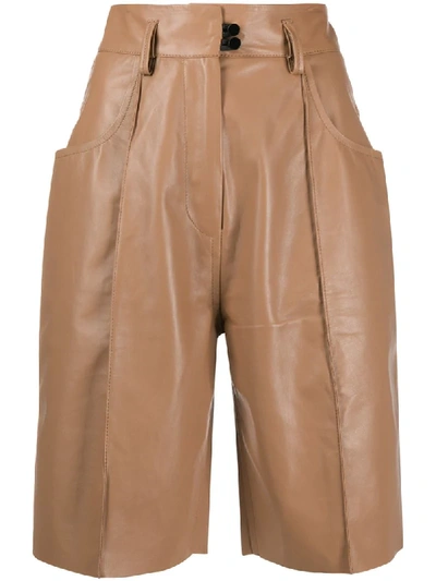 Petar Petrov High-waisted Pleated Shorts In Brown