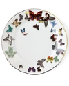 CHRISTIAN LACROIX BUTTERFLY PARADE DINNER PLATE,PROD187450029