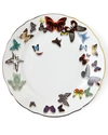 Christian Lacroix Butterfly Parade Dinner Plate In Multi