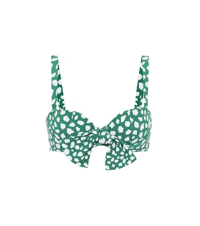 Alexandra Miro Clara Leopard-print Bikini Top In Green