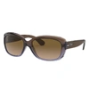 Ray Ban Jackie Ohh Transparent Sunglasses Transparent Dark Brown Frame Brown Lenses Polarized 58-17 In Brown