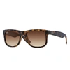 Ray Ban Justin Classic Sunglasses Tortoise Frame Brown Lenses 54-16 In Tortoise