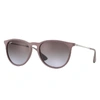 Ray Ban Erika Classic Sunglasses Silver Frame Brown Lenses 54-18 In Silver