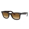 Ray Ban Original Wayfarer Classic Sunglasses Tortoise Frame Brown Lenses 50-22 In Tortoise